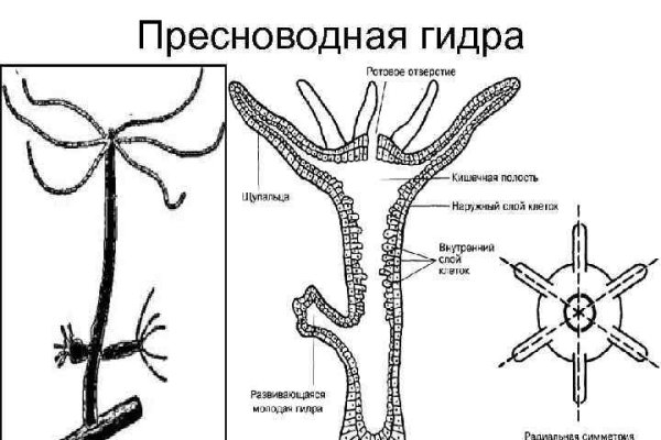 Кракен площадка kr2web in