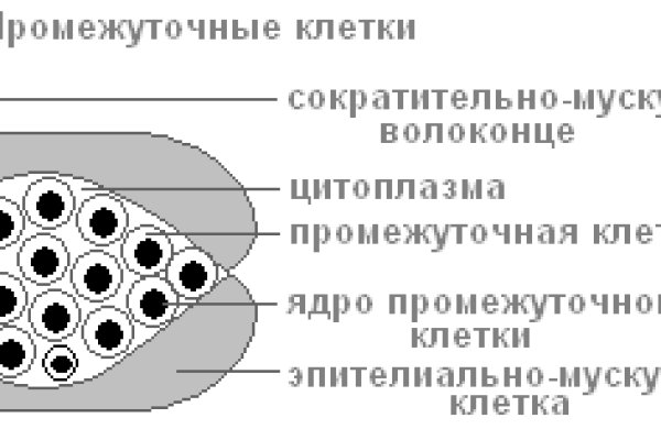 Кракен шоп даркнет