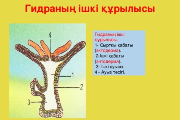 Дарк маркет это